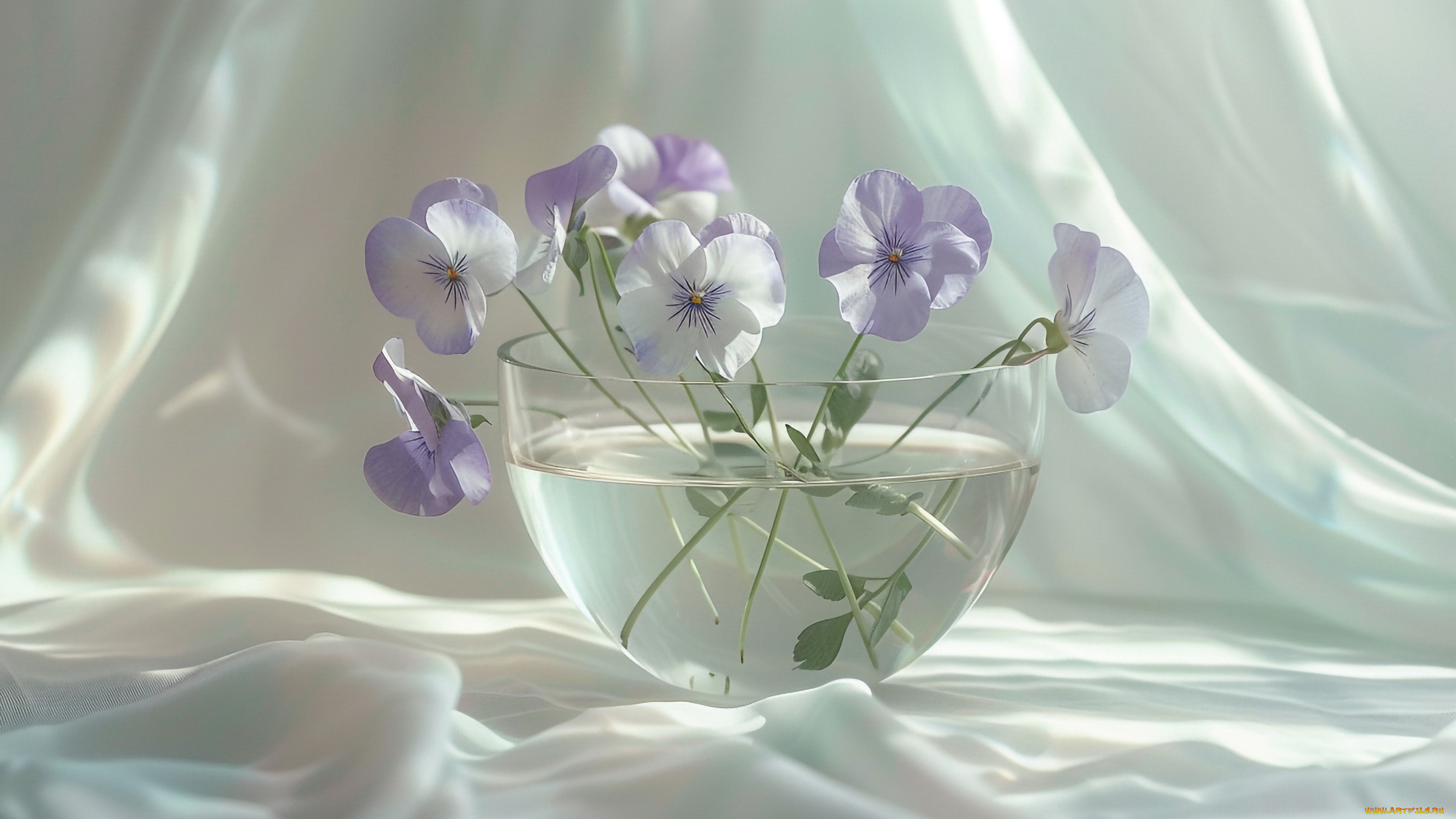 3 ,  , flowers, , 